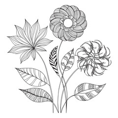 Black and white rose flower coloring page. Hand-drawn flowers patterns.