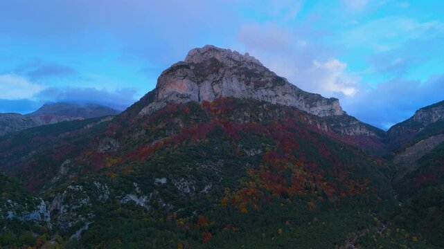 Sunset and autumn landscape of the mixed forest of beech, pine and fir trees in the Oza Forest in the Western Valleys Natural Park. La Jacetania region. Huesca. Aragon. Spain. Europe.