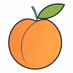 vector illustration of an orange