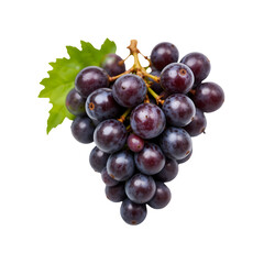 Fototapeta premium A cluster of ripe, dark purple grapes, fresh and juicy