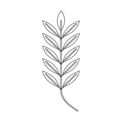 vector leaf isolated on white