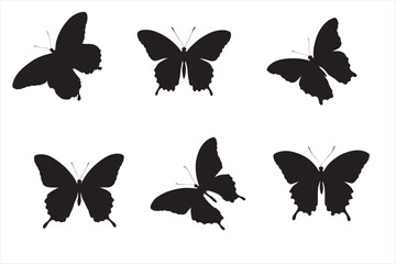 Fototapeta premium A butterfly silhouette black colour with white background.