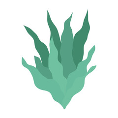 Underwater Plants and Seashells Vector Illustration