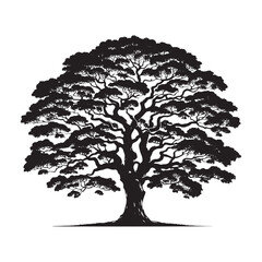 Fototapeta premium Maple Tree Vector Silhouette: A Beautiful and Detailed Illustration of Nature’s Iconic Leaf and Majestic Branches.