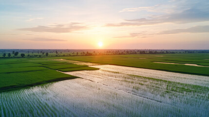 Pongal festival greeting with serene tamil nadu landscape at sunrise