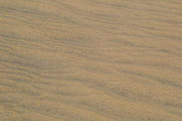 Sand on the beach as background. Sand structure, smooth natural background. Sand structured by wind
