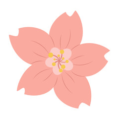 Pink Floral Vector Illustrations Sakura
