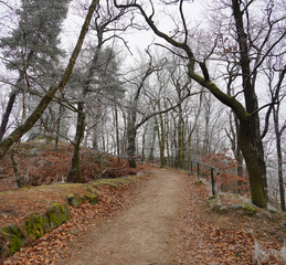 Wunderschöner Spaziergang in Karlsbad in Tschechien