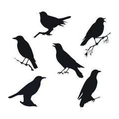 Obraz premium Cute vector set of bird silhouettes, including sparrow and crow, on a wild spring branch