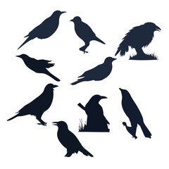 Fototapeta premium Set of bird silhouettes in flight, vector illustration of various birds like crow, sparrow, dove, and seagull, depicting wildlife and nature