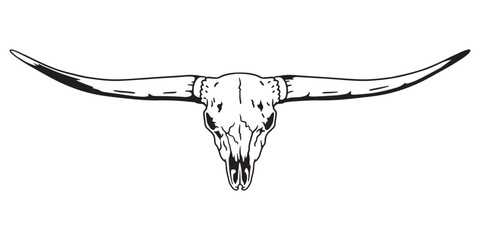 Texas Longhorn, Country Western Bull Cattle Vintage Label Logo Design. Vector hand drawing of the head of a Texas longhorn on a white background