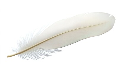 Obraz premium A single white feather floating in mid-air against a pure white background, soft lighting accentuating delicate curves and wispy texture, minimalist elegance.
