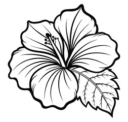 Fototapeta premium Adobe Illustrator Artwork