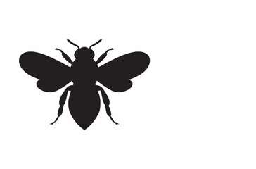 Black and white  Bee vector illustration with insect and spider design elements