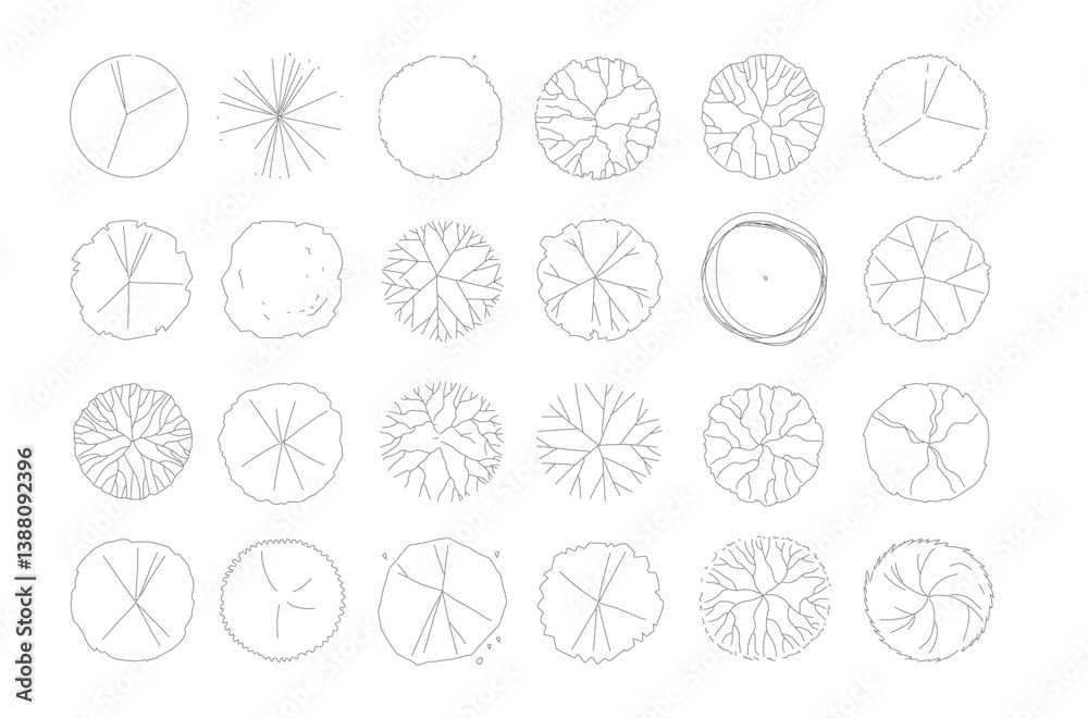 Poster Vector tree top view isolated on white background for landscape plan and architecture layout drawing, elements for environment and garden, cad