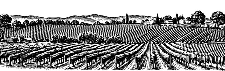 A black and white woodcut style illustration of rolling hills with vineyards and farmhouses. The image is reminiscent of a Tuscan landscape black and white vintage wine label