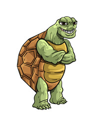 Turtle vector image cartoon hand drawn style illustration