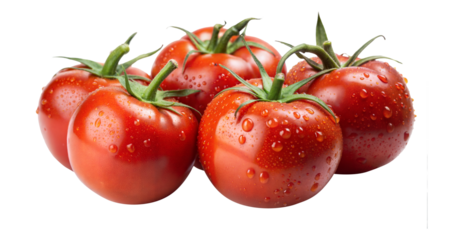 Closeup of five ripe red tomatoes with water droplets on a white background