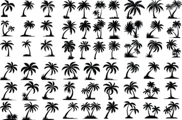 Palm Tree Vector Silhouette | Paradise, Sun, and Nature Design Palm Tree Silhouette Set | Tropical, Beach and Island Vector Icons