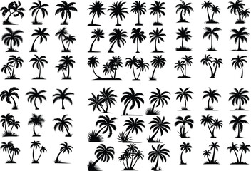 Palm Tree Vector Silhouette | Paradise, Sun, and Nature Design Palm Tree Silhouette Set | Tropical, Beach and Island Vector Icons