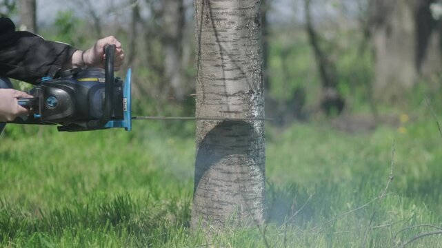 Slow Motion of Worker&rsquo;s Hand Using Chainsaw to Cut Cherry Tree &ndash; Sawdust and Smoke in Nature

