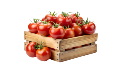 A wooden crate full of ripe red tomatoes ready for harvest