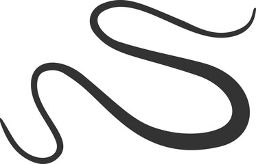 Swirl flourish line. Calligraphic hand-drawn elegant underline. Curved swoosh doodle element. Filigree brush stroke