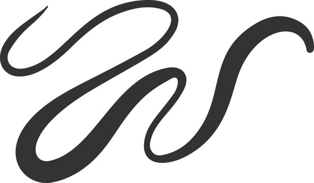 Swirl flourish line. Calligraphic hand-drawn elegant underline. Curved swoosh doodle element. Filigree brush stroke