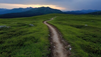 Serene mountain path winding through lush green meadows at sunset
