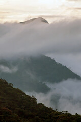 Jungle hill in the mountains of Colombia. Mysterious landscape covered by fog and sunrise light above the clouds.
