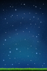 deep blue night sky vertical background, horizon of lush green grass