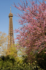 Eiffel Tower in springtime surrounded by plants and blossoms