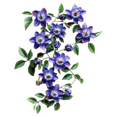 A Vibrant Passionflower Vine with Intricate Purple Flowers Isolated on Transparent Background