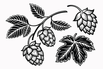 Vintage Woodcut Beer Hops Illustration – Hand-Drawn Engraving Style Vector Art