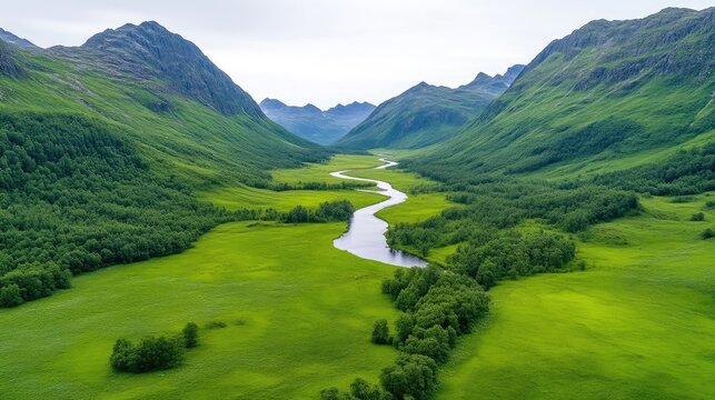 A winding river flows through a lush green valley, nestled between towering mountains. The vibrant landscape is captured in high resolution, showcasing the rich textures of the vegetation and the cla