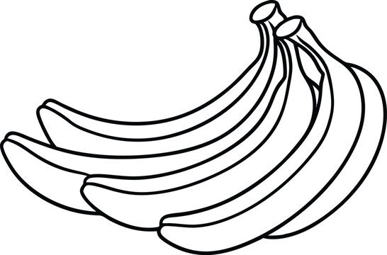recommend clip art: Banana line art vector illustration, Banana fruits outline vector