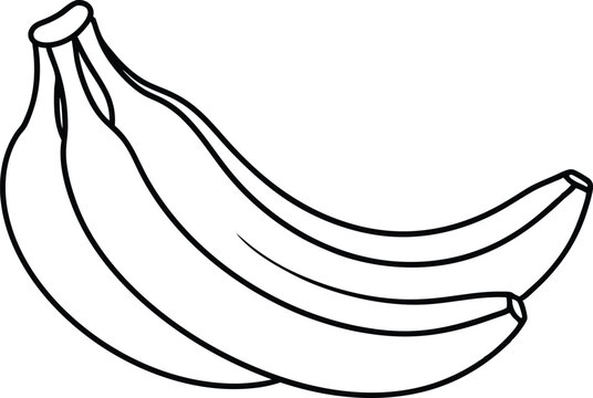 recommend clip art: Banana line art vector illustration, Banana fruits outline vector