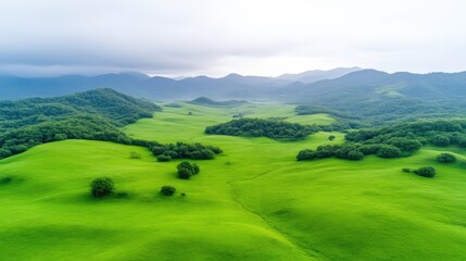 Fototapeta premium Rolling green hills and valleys dominate this landscape photo. Clusters of trees dot the hillsides. Mountains form a hazy backdrop. The image boasts high resolution and excellent clarity, with soft,