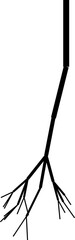 Monochrome vector of tree roots with sharp, pointed extensions in various directions.