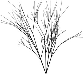 Fototapeta premium Vector drawing of a tree crown with twisted branches extending outward.