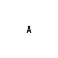 Fly icon logo flat vector design
