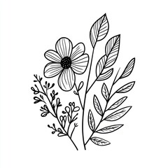 A minimalist black and white botanical illustration featuring floral elements
