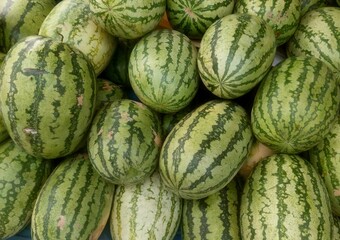 watermelons at the market