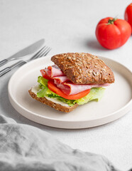 Toast club sandwich made of grain bread with prosciutto, cheese, tomatoes, lettuce and sauce on light background