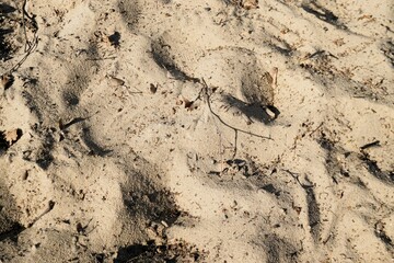 Beige Sandfläche mit Muster in Sandkasten bei Sonne am Morgen im Frühling