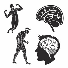 Naklejka premium human brain vector illustration