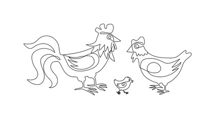 Rooster, hen and chicken line art drawing. Set of poultry, family. Animals and birds on the farm. Graphic design modern continuous line drawing