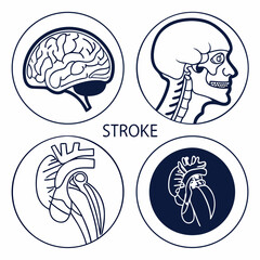Fototapeta premium vector set of human organs