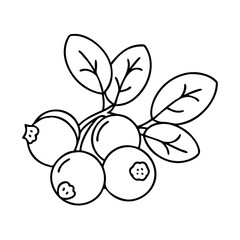 bilberry icon, bilberry line art - simple line art of bilberry, perfect for bilberry logos and icons