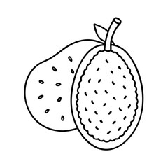 breadfruit icon, breadfruit line art - simple line art of breadfruit, perfect for breadfruit logos and icons